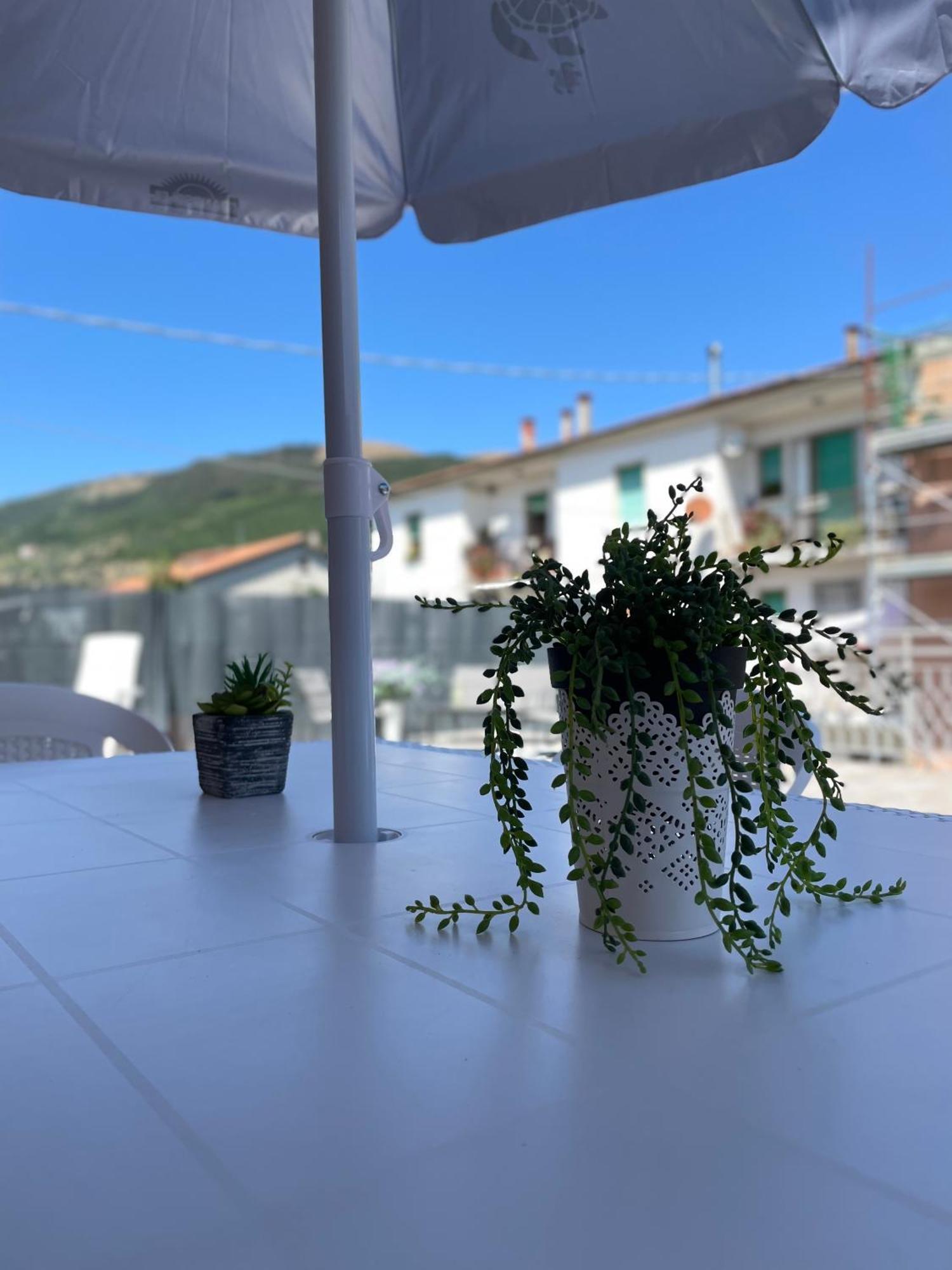 Apartamento La Signora Dei Fiori Gubbio Exterior foto